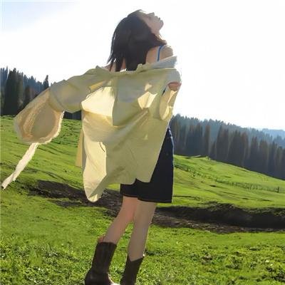 驯龙高手：归家